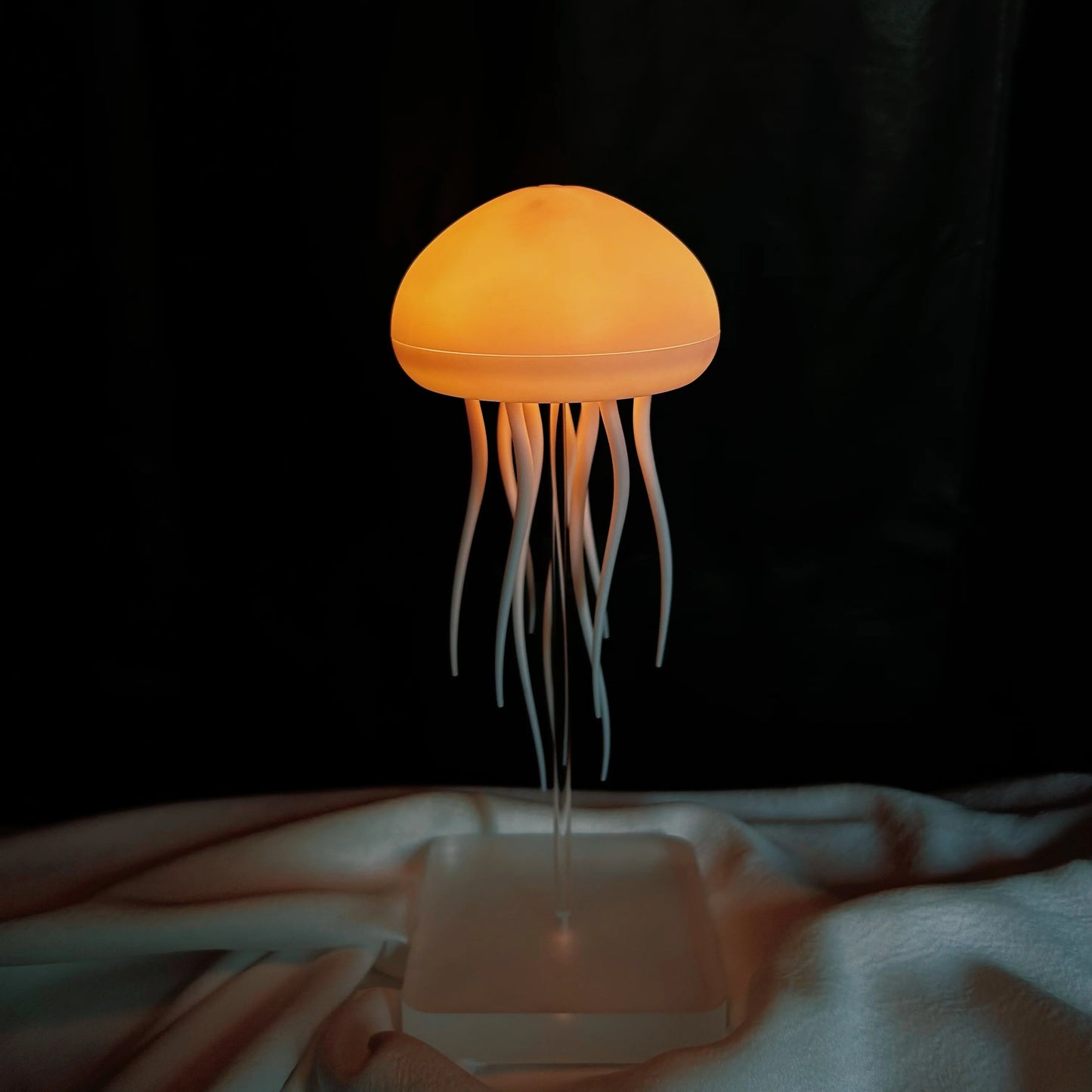 Aurora Jellyfish